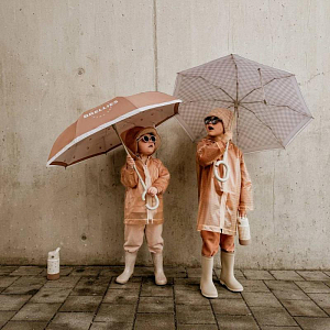 Сапоги резиновые Mrs. Ertha "Bouquet Silhouette Glitter", цветочный эскиз